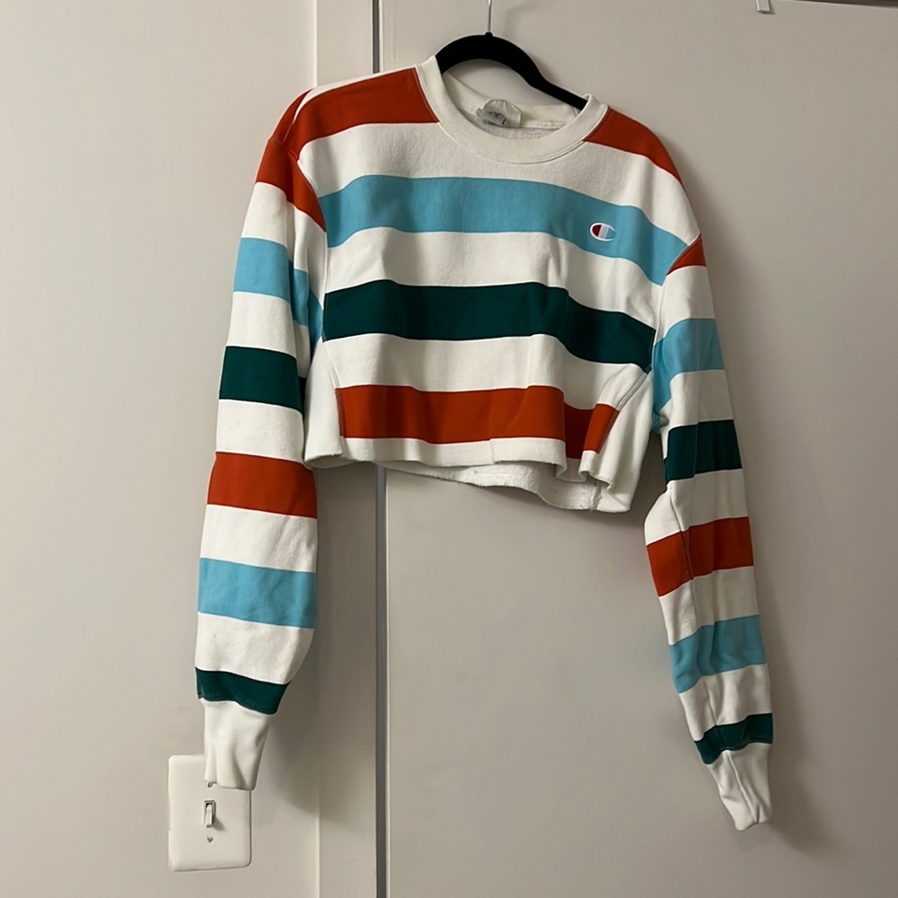 Champion Cropped Sweatshirt (urban outfitters)
